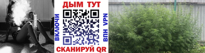 Наркотические вещества Ардатов ГАШИШ МЕГА ТОР Мефедрон СК
