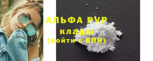 ALPHA PVP Чердынь
