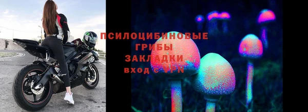 крисы Анжеро-Судженск