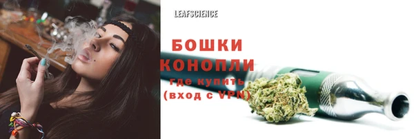 спайс Чегем