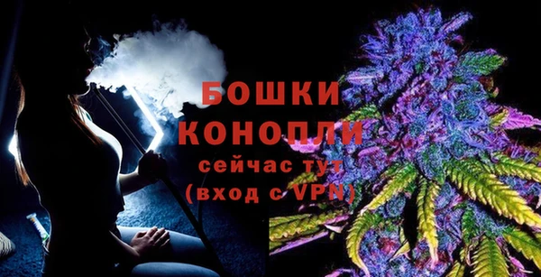 крисы Анжеро-Судженск
