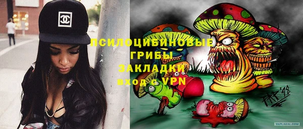 твердый Алапаевск