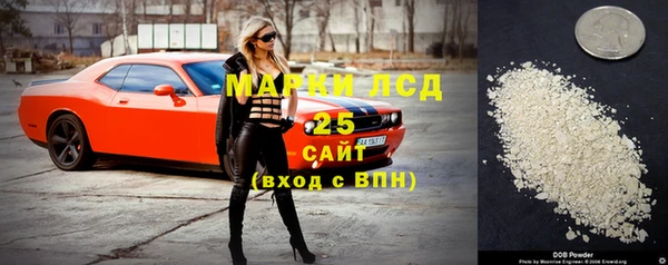 крисы Анжеро-Судженск