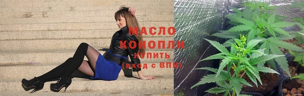 дмт Анива