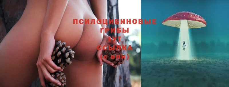 гидра ссылки  Ардатов  Галлюциногенные грибы Magic Shrooms  сколько стоит 