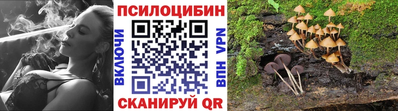 Псилоцибиновые грибы Psilocybe  Ардатов 